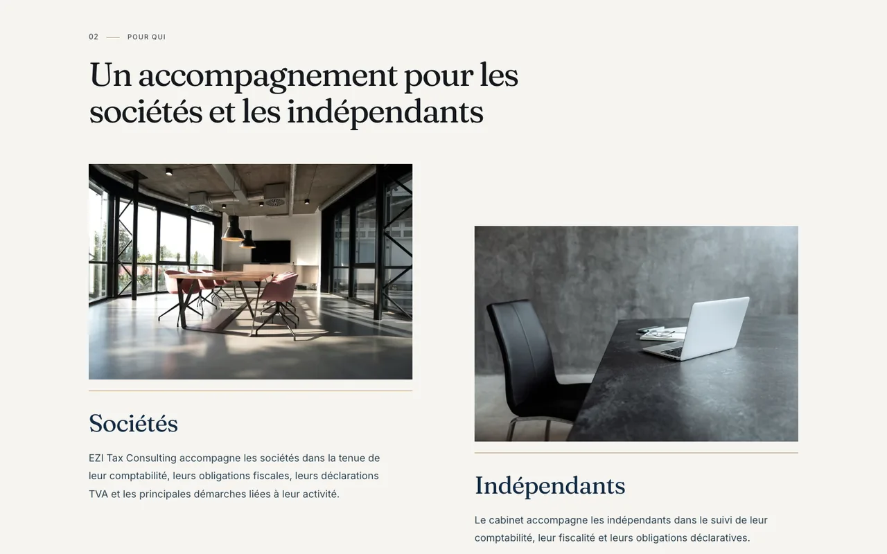 EZI Tax Consulting : distinguer les besoins des publics. Capture de la section publique.